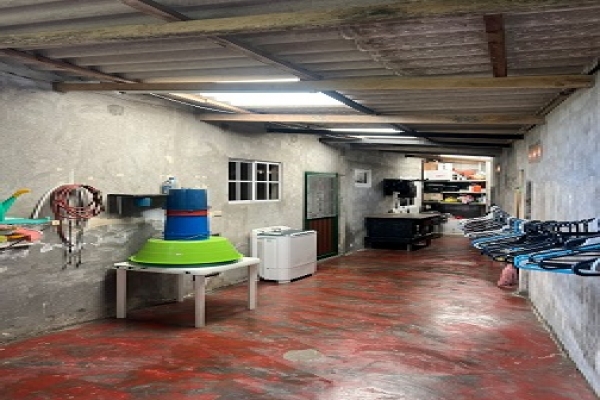 WhatsApp Image 2025-08-20 at 4.31.21 PM.jpeg